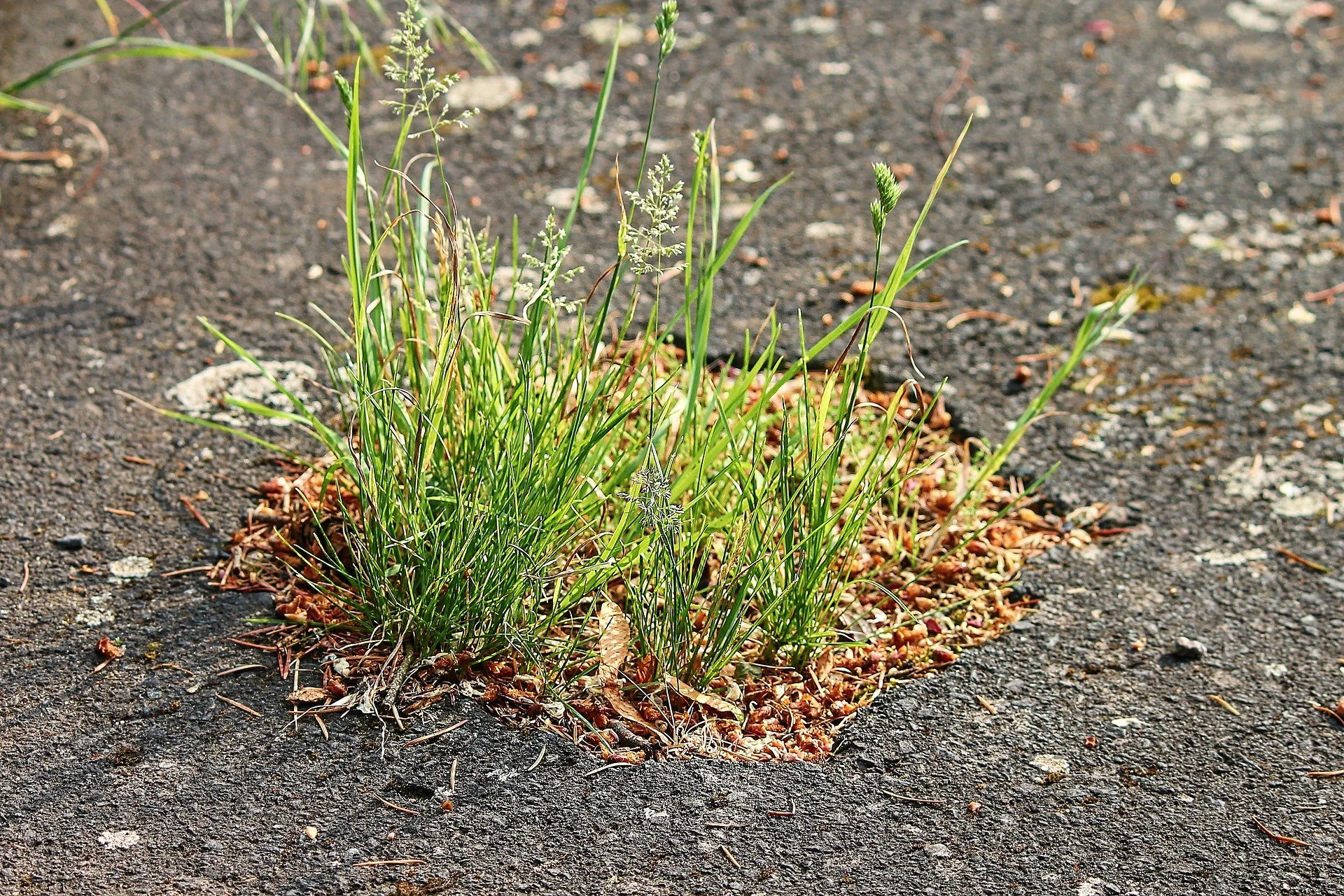 How Potholes Can Damage Your Car